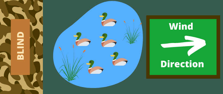 duck-blind-wind-direction
