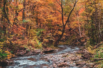 turkey-hunting-draws-swales