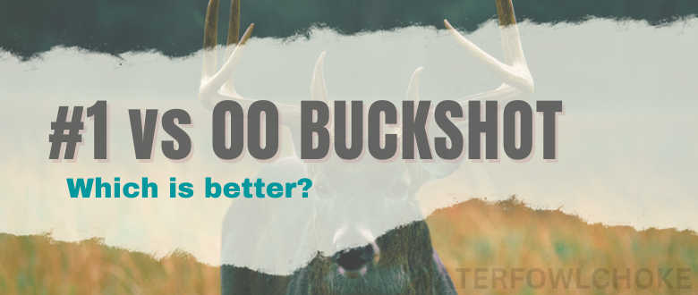 1-vs-00-buckshot