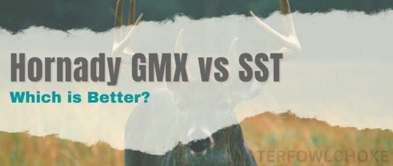 HORNADY GMX PROBLEMS visual data 2