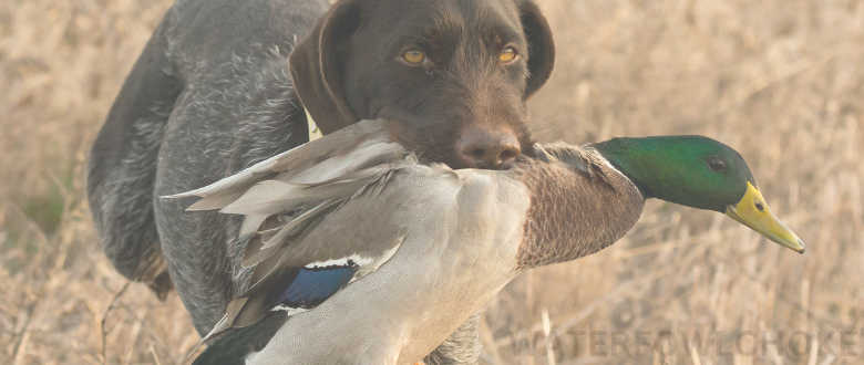 Duck-Hunting-Lanyard-Accessories