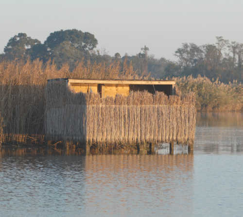 the best direction to face a duck blind is southwest so that the sun isn't shining in your face