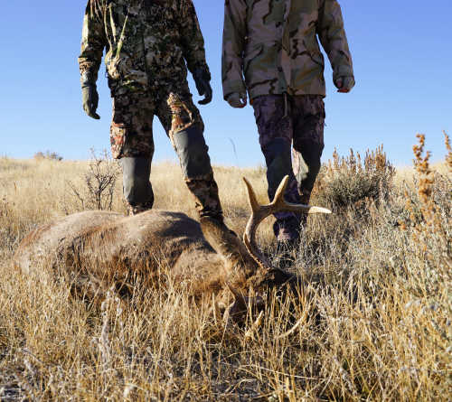 learning how to tip a hunting guide means everyone is happy after the hunt 