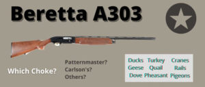 best-choke-beretta-a303