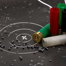 tungsten-shotshell-pattern