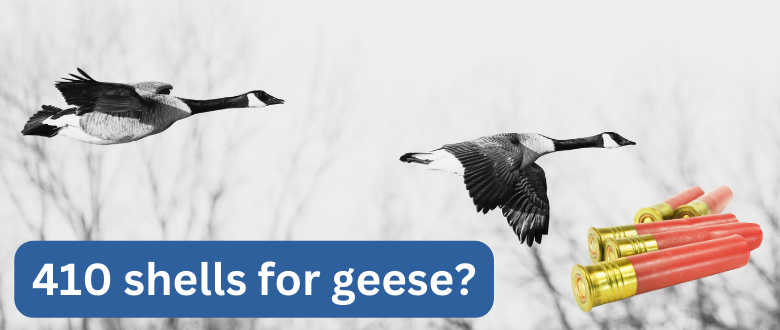 410-shells-for-goose-hunting
